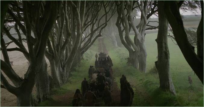 L'allée de hêtres Dark Hedges de Game of Thrones