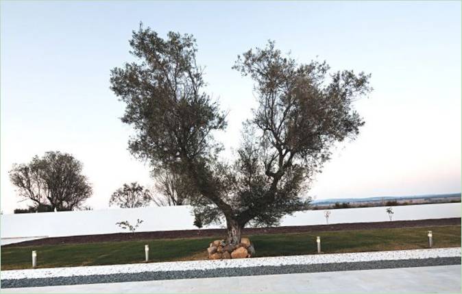 Villa de luxe Ribatejo House au Portugal