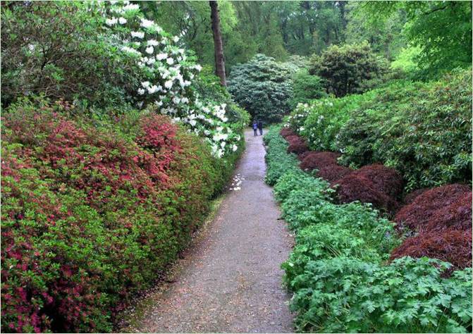 Arboretum du Mont Congreve