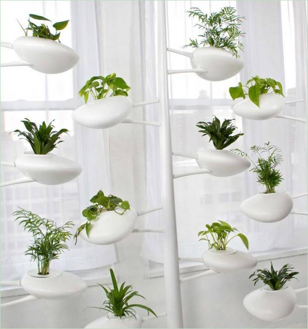 Système hydroponique moderne pour votre maison ou votre jardin : le jardin en capsule Système hydroponique moderne pour la maison et le jardin : le jardin de la capsule