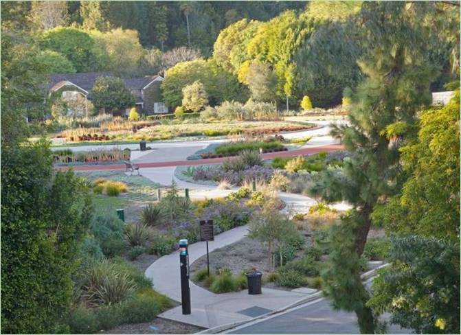 Conception de jardins élégants