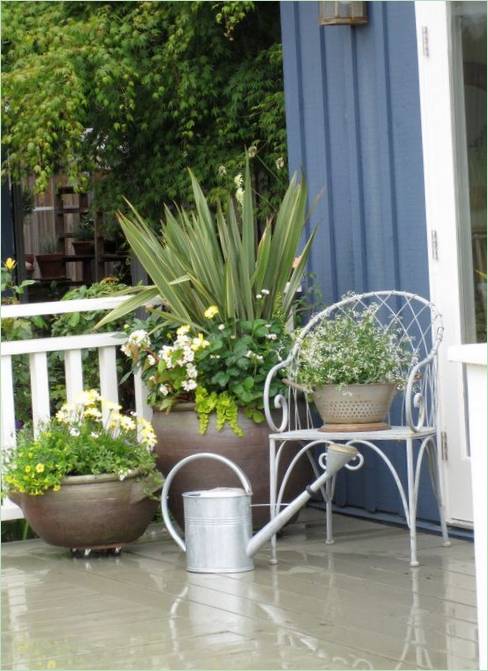 Plantes vertes à l'entrée principale