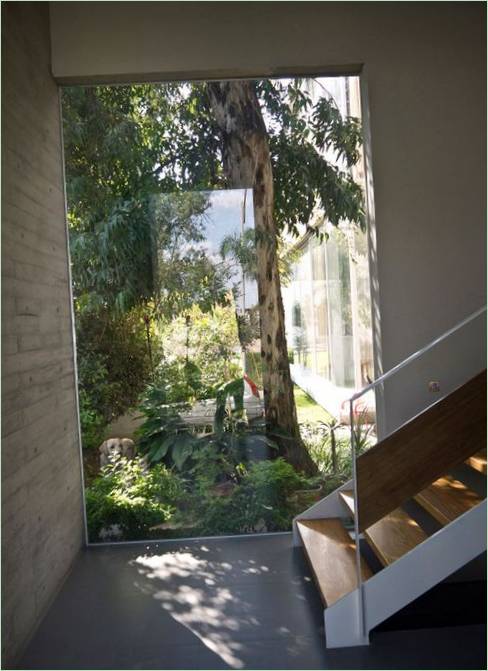 Aménagement intérieur d'une maison dans une forêt d'eucalyptus, Zapopan, Jalisco, Mexique