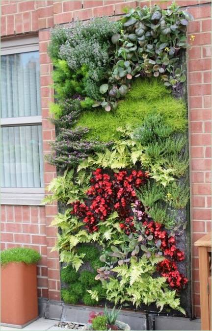 Système hydroponique moderne pour la maison ou le jardin : un mur vivant à l'extérieur Système hydroponique moderne pour la maison ou le jardin : un mur vivant à l'extérieur