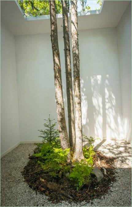 La politesse de la nature dans une exposition de Johan Selbing et Anouk Vogel