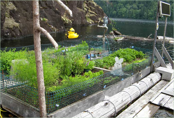 Un petit jardin près de la maison du lac