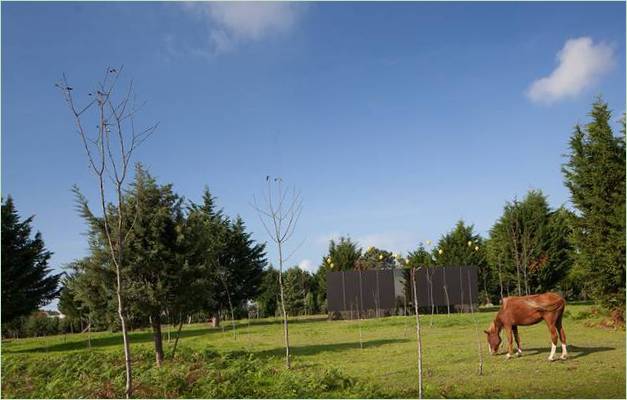 La maison flamboyante de MIMA à la campagne