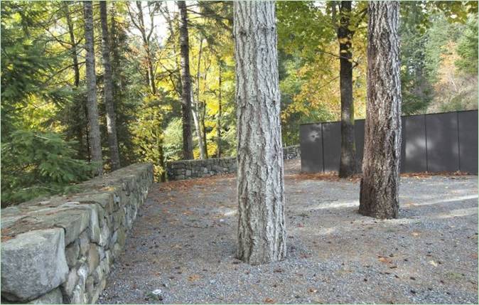 Un vieil arbre devant la résidence de Quadra Isle