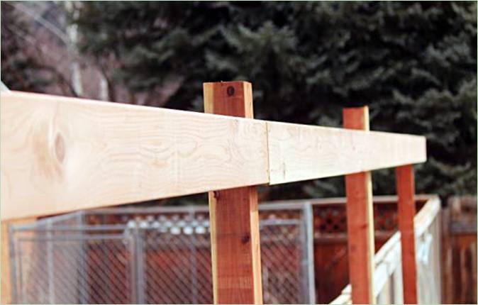 Construire un vignoble dans le jardin