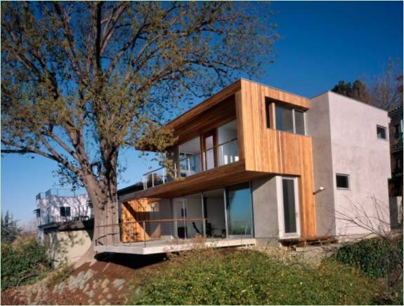 Un arbre dans le jardin d'une maison à Los Angeles