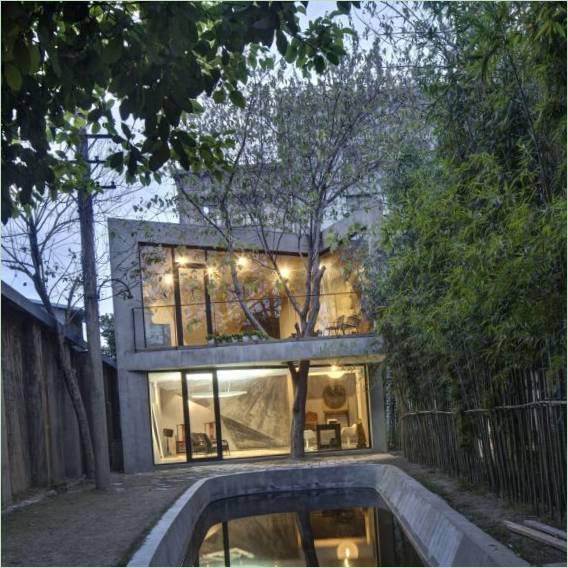 Un arbre dans la cour de la maison à Shanghai