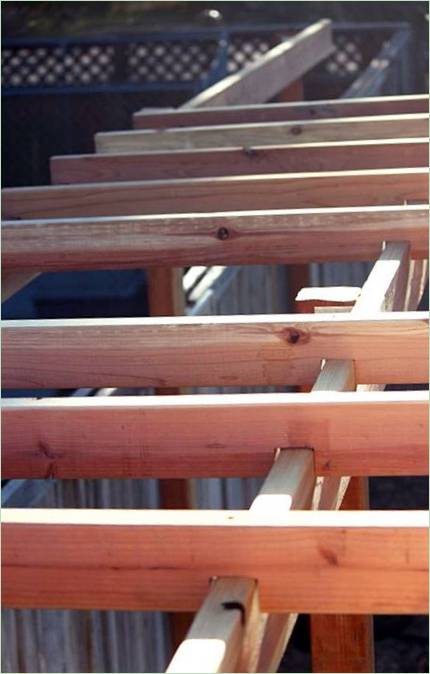 Construire un vignoble dans le jardin