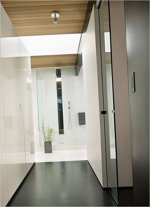 Plantes vertes dans l'intérieur de la cabine de douche
