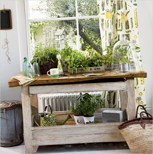 Conception ornementale d'un jardin