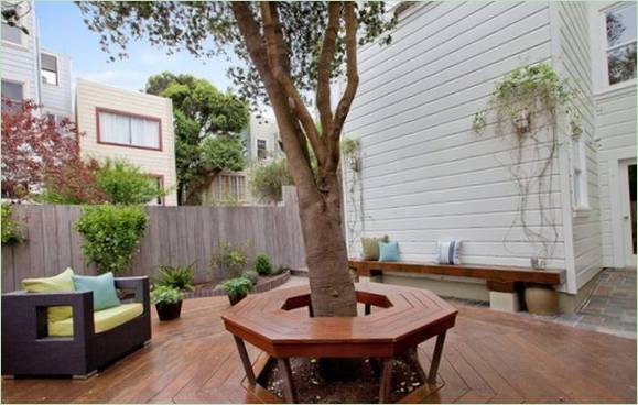 Un arbre dans la cour d'une maison de San Francisco