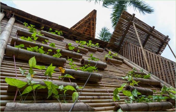Un jardin vertical sur la façade de la maison en bambou de BB Home