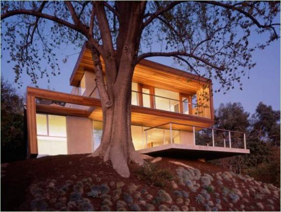 Un arbre dans le jardin d'une maison à Los Angeles