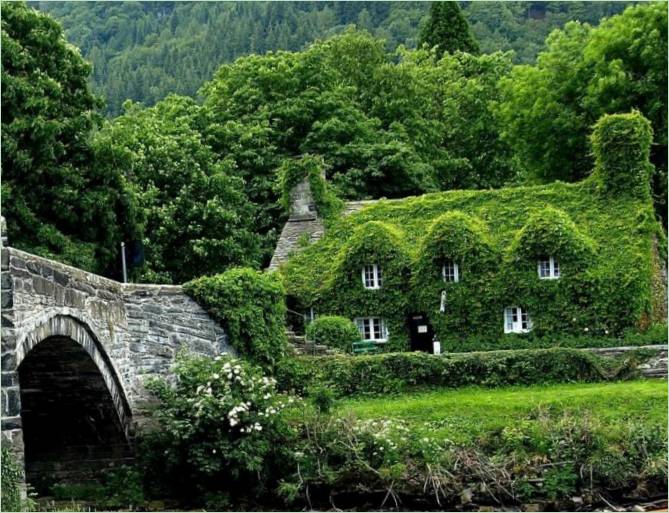 Une maison en pierre couverte d'herbe et de pousses de lierre