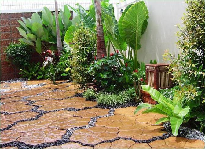 Carton pour chemin de jardin