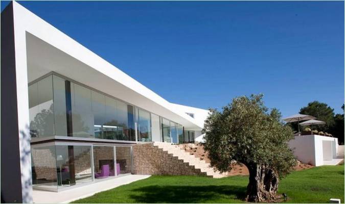Grand arbre sur la villa