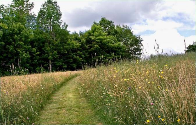 Paysage de prairie par Matthew Cunningham Landscape Design LLC