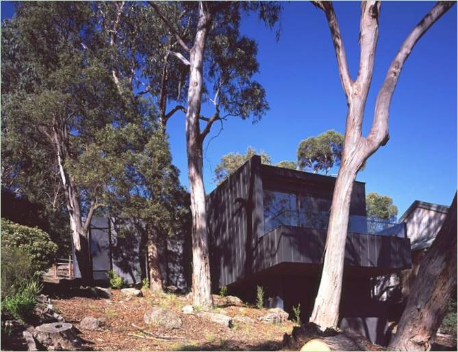 Conception d'une maison contemporaine dans un arbre à Lorne