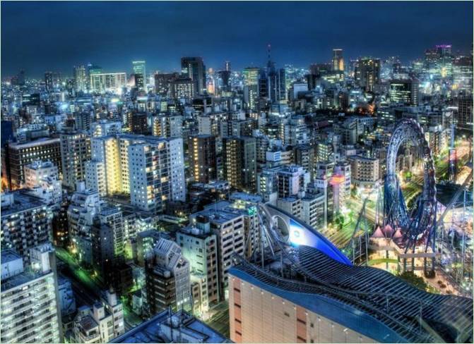 Une vue de Tokyo la nuit