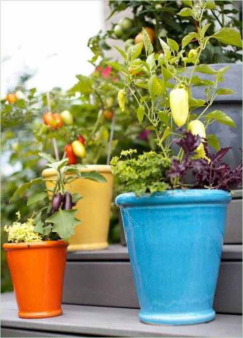 Linge de jardin ornemental
