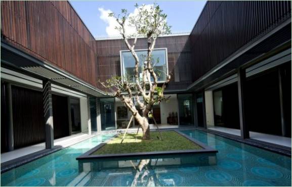 Un arbre dans l'arrière-cour d'une maison à Singapour
