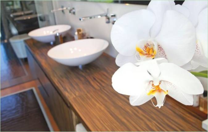Orchidées dans un intérieur de salle de bains