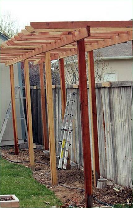 Construire un vignoble dans le jardin