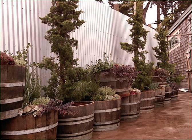 Aménagement paysager économique - parterres de fleurs dans des tonneaux en bois Aménagement paysager économique - parterres de fleurs dans des tonneaux en bois