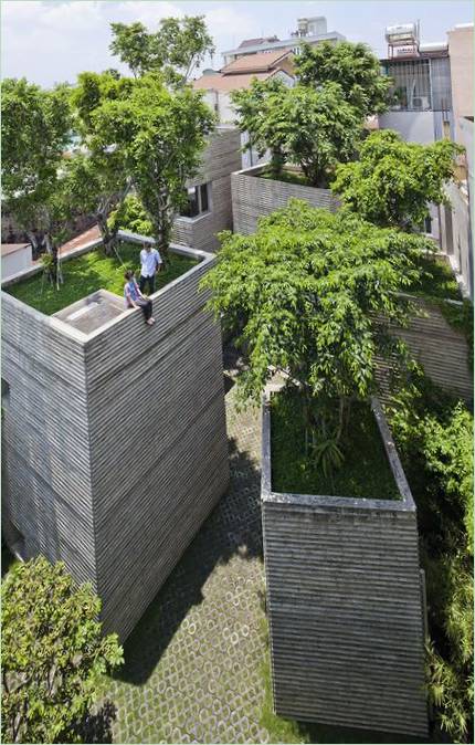 Le jardin sur le toit de la Maison des arbres