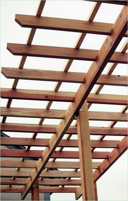 Construire un vignoble dans le jardin