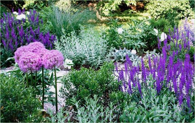 Aménagement paysager économique - Fleurs d'Allium et de Veronica Aménagement paysager économique - fleurs Allium et Veronica