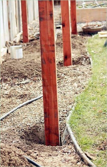 Construction d'une vigne dans le jardin