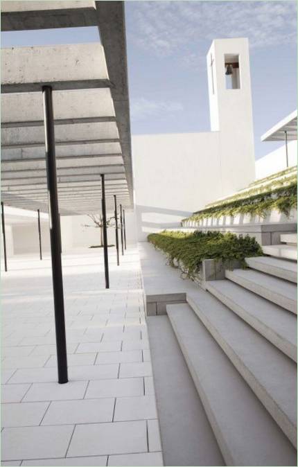 Des plantes vertes dans la cour du complexe