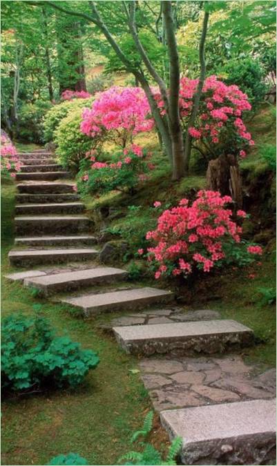 Conception d'une allée de jardin