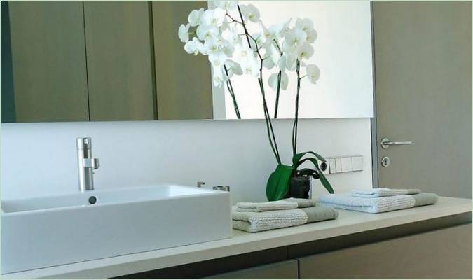 Orchidée blanche près du lavabo
