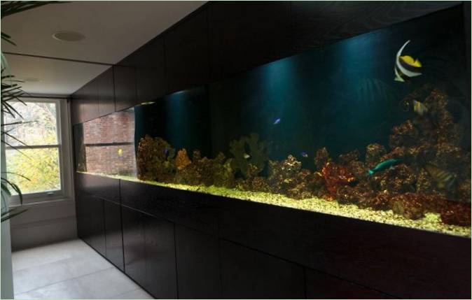 Un immense aquarium à l'intérieur de Notting Hill, à Londres