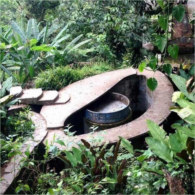 Un parc surréaliste. Des structures en béton autour de la jungle impénétrable