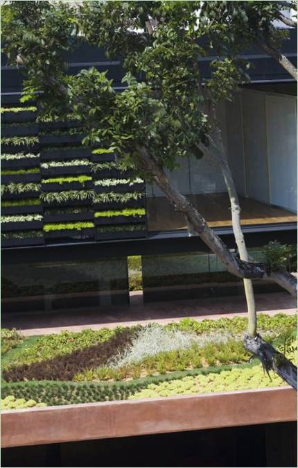 Aménagement paysager du toit-terrasse du chalet Maximum Garden House