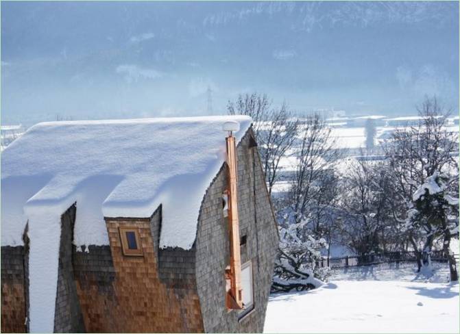 Ufogel dans la neige en Autriche