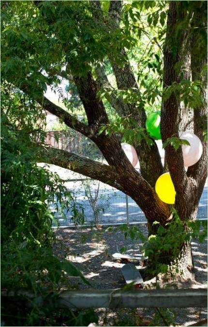 Décoration d'un grand arbre dans le jardin