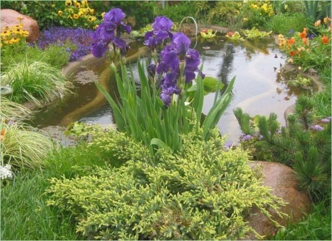 Aménagement de jardins à l'anglaise