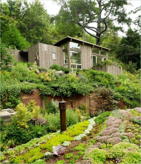 Extérieur en bois d'une maison entourée d'un paysage forestier enchanteur