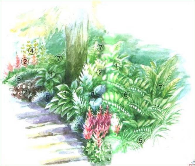Parterre de fleurs sous la canopée des arbres