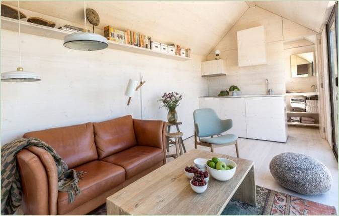 Design intérieur d'un salon avec cuisine
