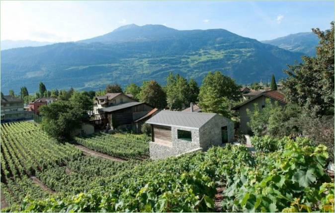 Vignobles de la maison de campagne Germaniere en Suisse