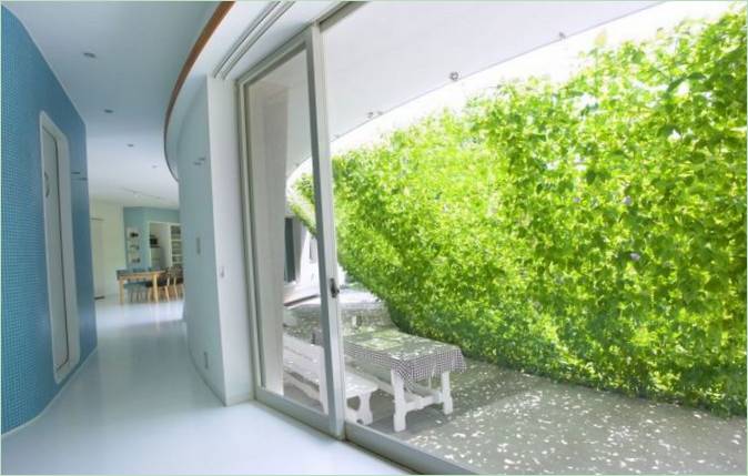 Vue d'une terrasse verte